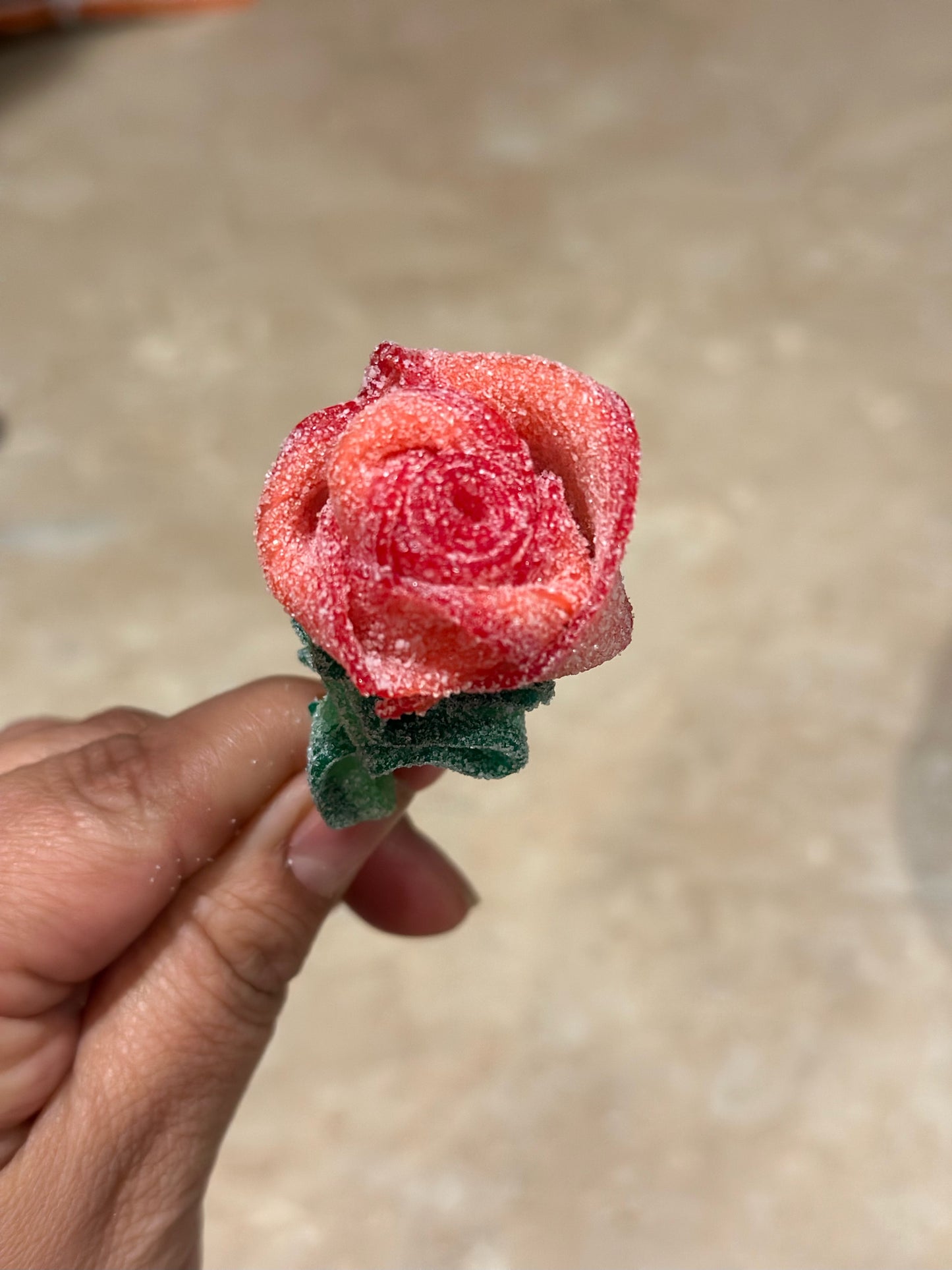Sour Roses